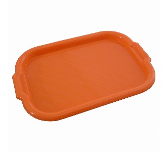 TE351 Decor Tray